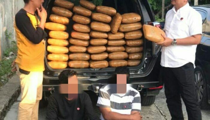 Polisi Sumbar Ungkap 48 Kg Ganja Jaringan Penyambungan