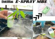 Inovasi dari UNP: E-Spray Mbs Atasi Penyakit Layu pada Cabe