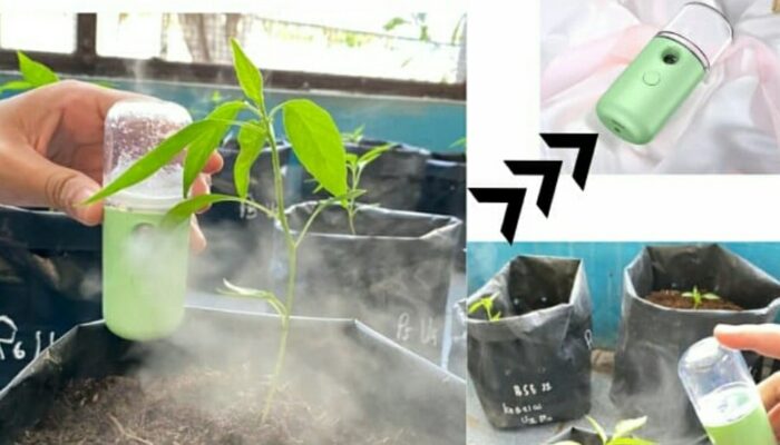 Inovasi dari UNP: E-Spray Mbs Atasi Penyakit Layu pada Cabe