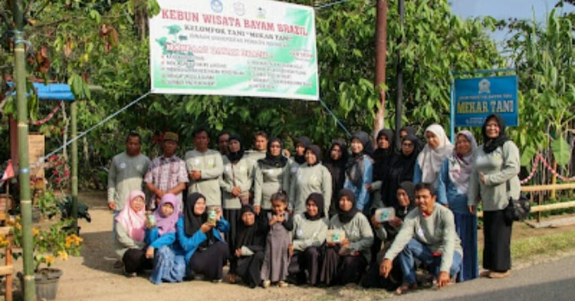 Tim Upertis PMP beri Penyuluhan di Nagari Piobang Tentang Bayam Brazil