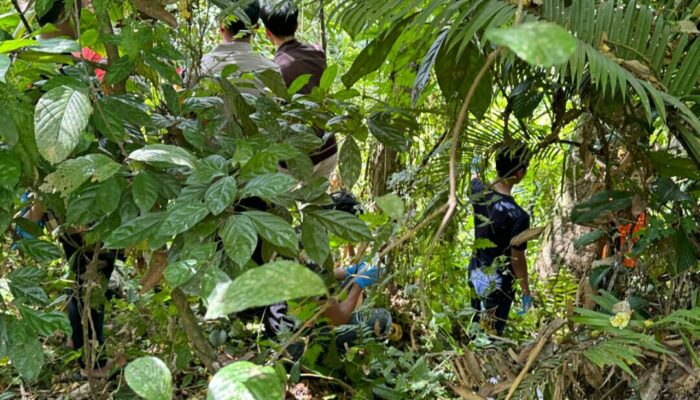 Kasus Gadis Penjual Goreng, Polisi Temukan Barang Bukti Baru