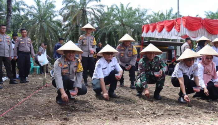 Tanam Jagung, Polres Pasbar Dukung Ketahanan Pangan