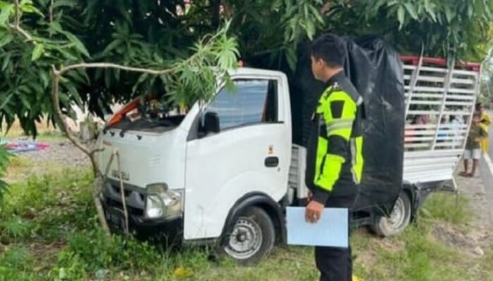 Kecelakaan Mobil Pemburu Babi Tiga Orang Meninggal