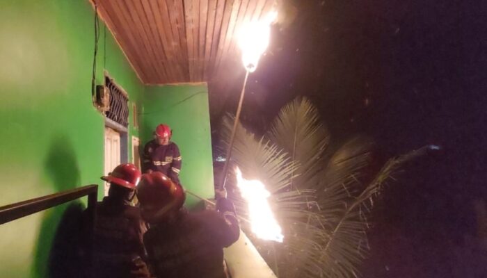 Dinas Kebakaran Padang Tangani Sarang Lebah di Rumah Kos