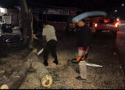 Pohon Tumbang Timpa Dua Pengendara Motor Terluka