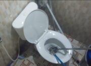 Ular Kobra Muncul di Kloset, Damkar Padang Turun