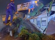 Pohon Tumbang Timpa Rumah dan Motor di Pasir Jambak