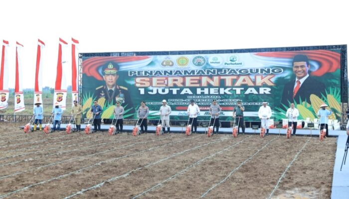 Kementan dan Polri Sinergi Swasembada Jagung Targetkan 4 Juta Ton