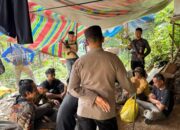Polisi Gerebek Tambang Emas Ilegal di Bukit Bulat, 10 Orang Diamankan