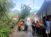 Pohon Tumbang Timpa Rumah dan Kabel Listrik di Lubuk Minturun