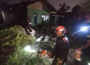 Pohon Tumbang Timpa Rumah Warga di Parupuk Tabing