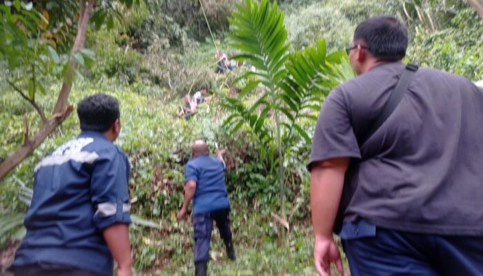 Seorang Buruh Terjepit Pohon Saat Menebang di Gunung Pangilun