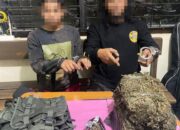 Polres Payakumbuh Bekuk Dua Pengedar Ganja, 3,8 Kilo