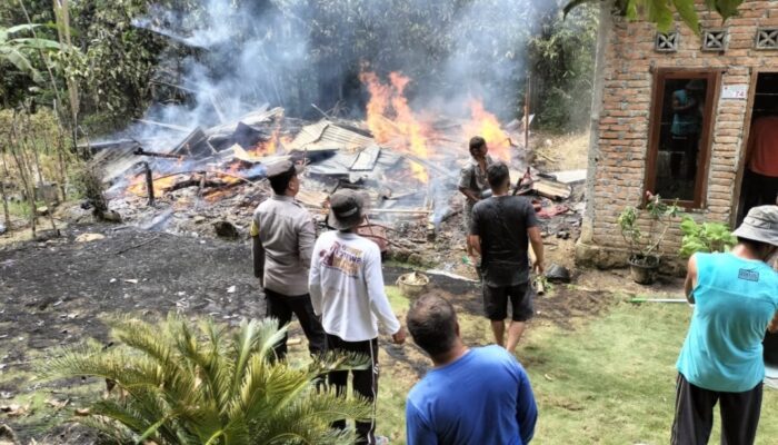 Pria Diduga ODGJ Bakar Rumah Ibunya di Agam