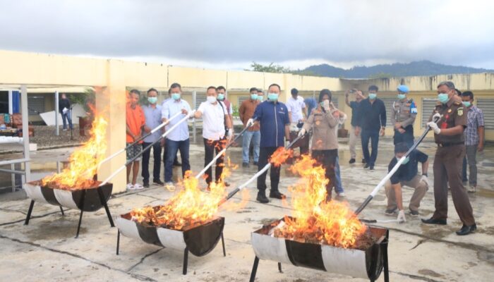 Perang Narkoba, Polda Sumbar Musnahkan 15,9 Kg Ganja