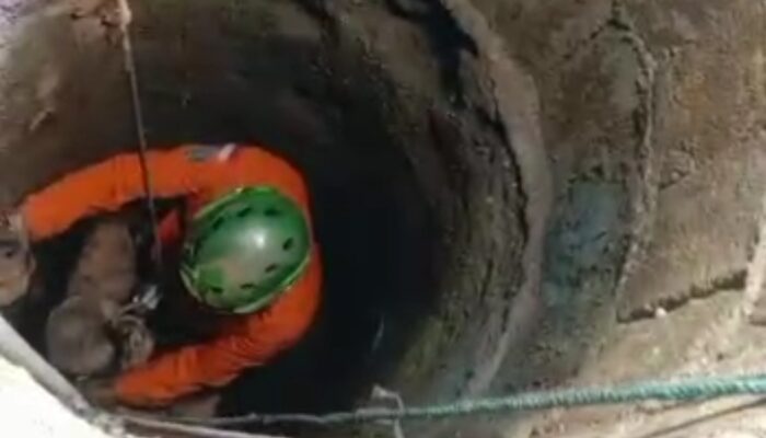 Tim SAR Tanah Datar Selamatkan Seorang Kakek Jatuh Dalam Sumur