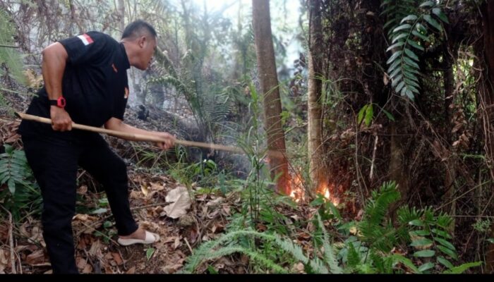 Kebakaran Hutan di Balai Gadang, Sekitar 3 Hektare Terbakar
