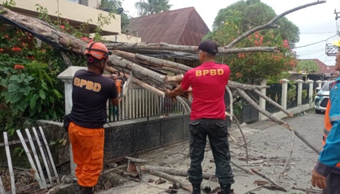 Pohon Tumbang Timpa Pagar dan Kabel Listrik dan Akses Jalan di Anduriang