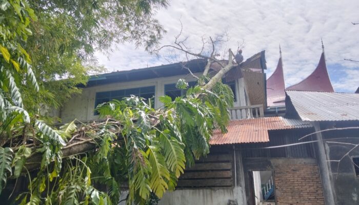 Pohon Tumbang Timpa Panti Asuhan Muhammadiyah Rawang Ketaping