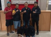 Dua Pemuda Diduga Lakukan Pelecehan Anak Ditangkap