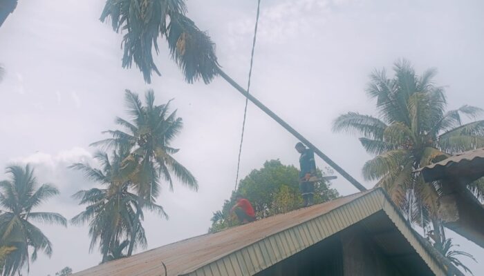 Pohon Tumbang Timpa Rumah Warga di Lubuk Kilangan