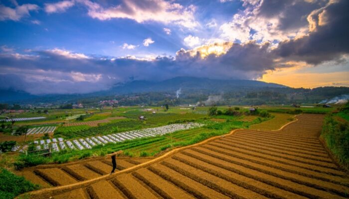 Warga Pandai Sikek Tolak Proyek PLTP