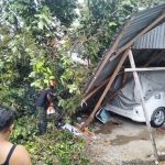 Pohon Tumbang Timpa Warung dan Mobil di Kuranji, Satu Orang Warga Terluka