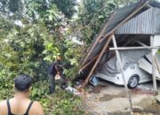 Pohon Tumbang Timpa Warung dan Mobil di Kuranji, Satu Orang Warga Terluka