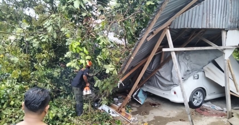 Pohon Tumbang Timpa Warung dan Mobil di Kuranji, Satu Orang Warga Terluka