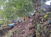 Tim SAR Evakuasi Mayat Korban Pembunuhan di Dasar Jurang Ngarai Sianok