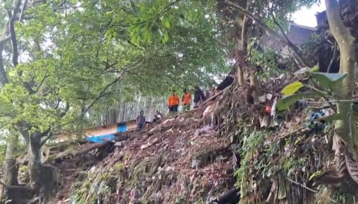 Tim SAR Evakuasi Mayat Korban Pembunuhan di Dasar Jurang Ngarai Sianok