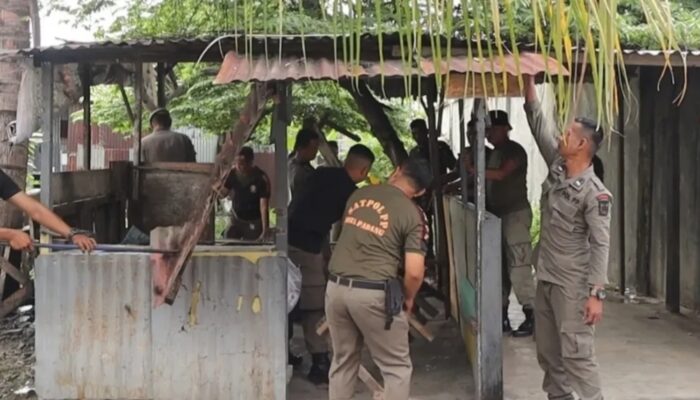 Satpol PP Padang Tertibkan 13 Pedagang di Lahan Pemko