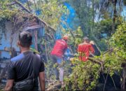 Angin Kencang Disertai Hujan Tumbangkan Pohon Besar di Batipuh Panjang