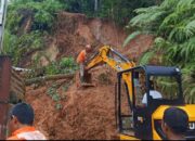 Dua Pohon Tumbang Buat Longsor di Lubuk Minturun Padang