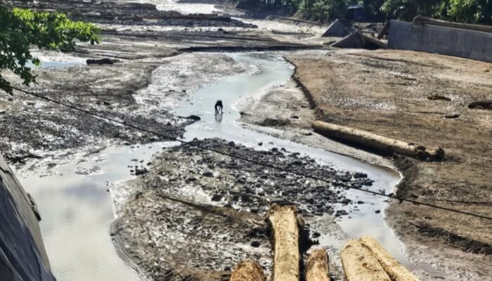 Bendungan Rusak, Ribuan Hektare Sawah di Padang Terancam Kekeringan