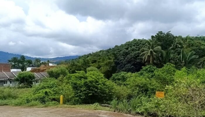 Pemko Padang Siapkan 3,5 Hektare Lahan untuk Hunian Tetap Korban Banjir