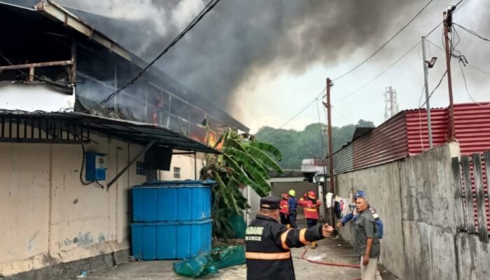 Gudang Ikan di Padang Barat Terbakar, Kerugian Capai Rp600 Juta