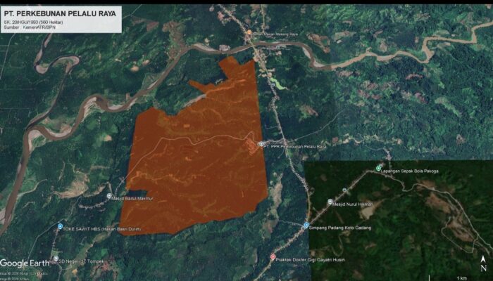 WALHI: Pascaizin Dicabut, Rakyat Menunggu Krisis di PULIHkan
