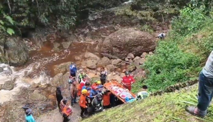 Mobil Masuk Jurang di Kelok 9 Lima Puluh Kota, Tujuh Orang Luka-Luka