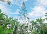 Indosat berhasil mencetak pertumbuhan pendapatan kuat Rp56,5 triliun di 2025