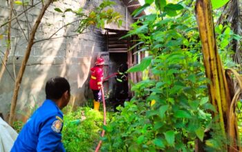 Dapur Rumah di Parupuk Tabing Terbakar Diduga Api dari Tabung Gas