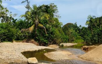 WALHI Peringatkan Tambang di Wilayah Rawan Bencana di Nagari Kasang