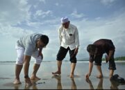 Daratan Baru Ubah Wajah Pantai Parkit, Jadi Sorotan Pemprov Sumbar