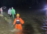 Banjir di Saruaso Tengah Malam, Tim SAR Evakuasi Warga Terjebak Arus Deras