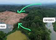 Tambang Emas Ilegal di Sumbar Kembali Telan Korban, WALHI: Negara Gagal Lindungi Rakyat