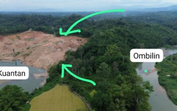 Tambang Emas Ilegal di Sumbar Kembali Telan Korban, WALHI: Negara Gagal Lindungi Rakyat