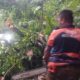 Pohon Tumbang di Jalur Padang–Painan Picu Kemacetan 2 Kilometer