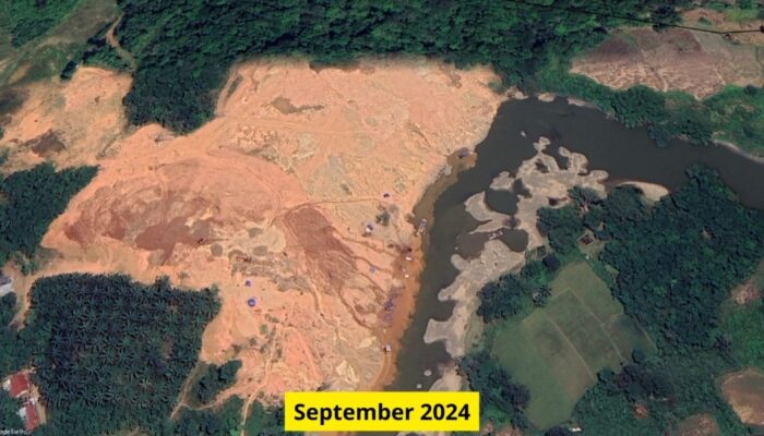 Citra Satelit WALHI Ungkap Kerusakan Parah Tambang Emas Ilegal di Sijunjung