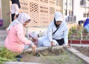 Dukung SDGs dan UI GreenMetric, FPP UNP Hijaukan Kampus Tanaman Produktif