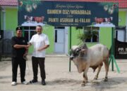 Korem 032/Wbr Salurkan Sapi Kurban Kasad untuk Panti Asuhan di Padang